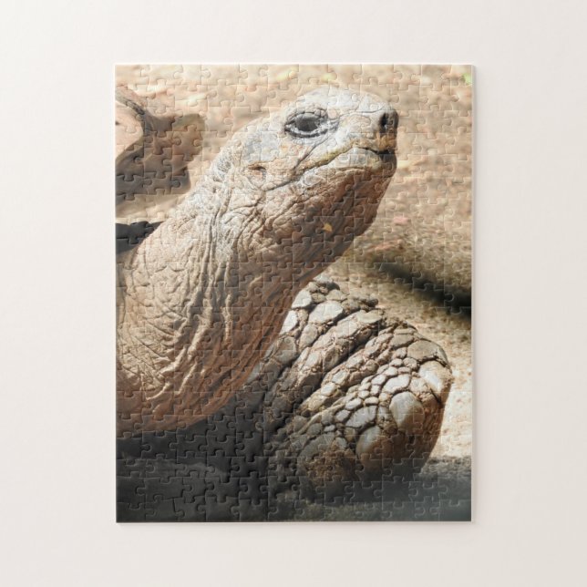 Tortoise Puzzle (Vertical)