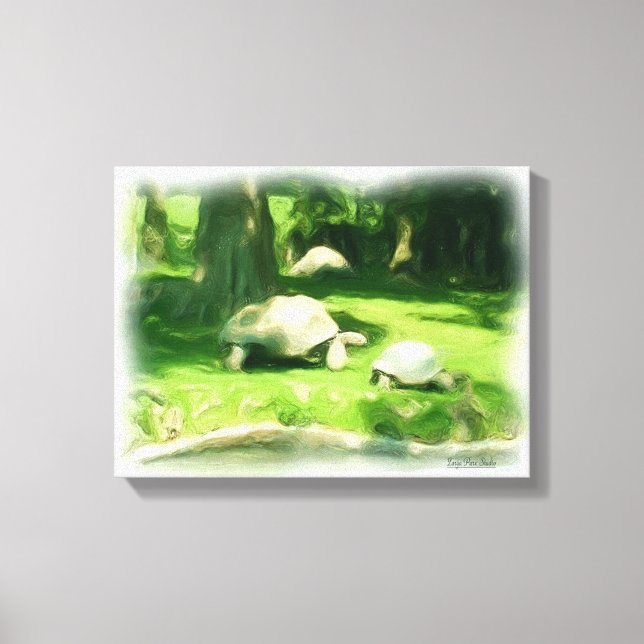 Tortoise Race Canvas Print (Front)