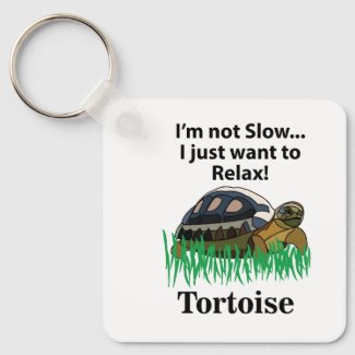 Tortoise Relax Animal Cute Funny 