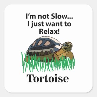Tortoise Relax Animal Cute Funny 