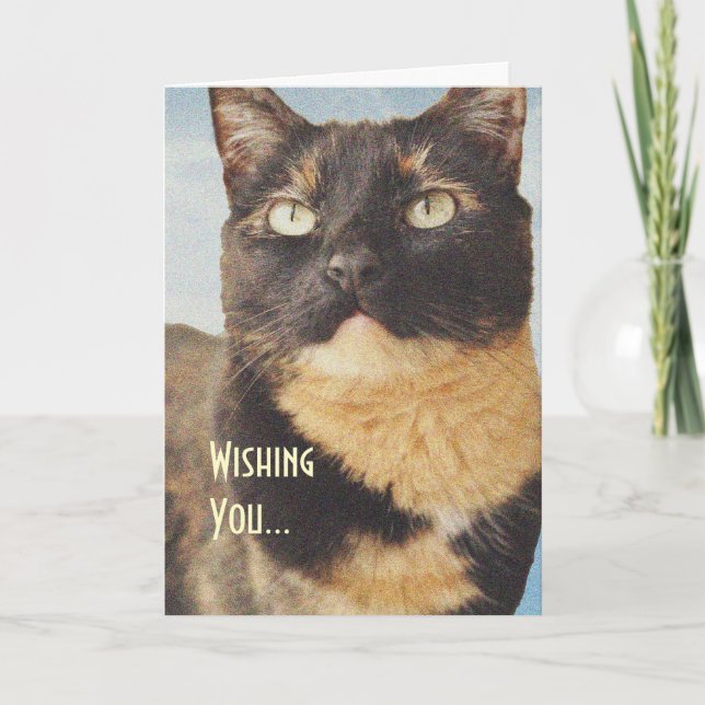 Tortoise Shell Cat Birthday Card (Front)