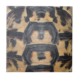 Tortoise shell ceramic tile