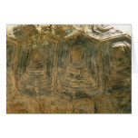 Tortoise Shell Nature Photo Cards