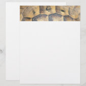 Tortoise Shell Pattern (Front/Back)