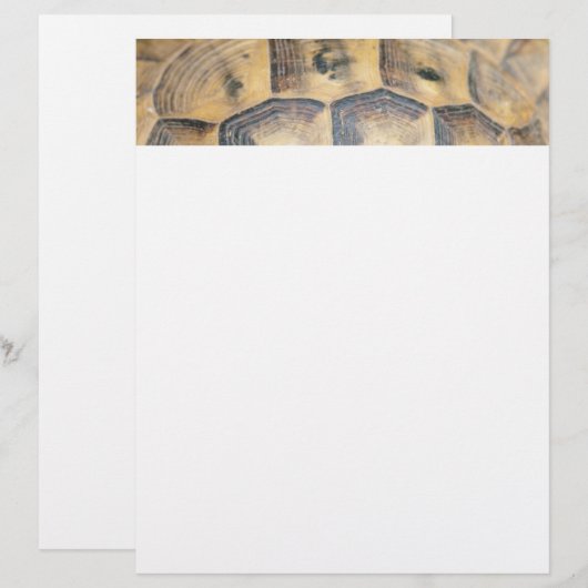 Tortoise Shell Pattern (Front/Back)