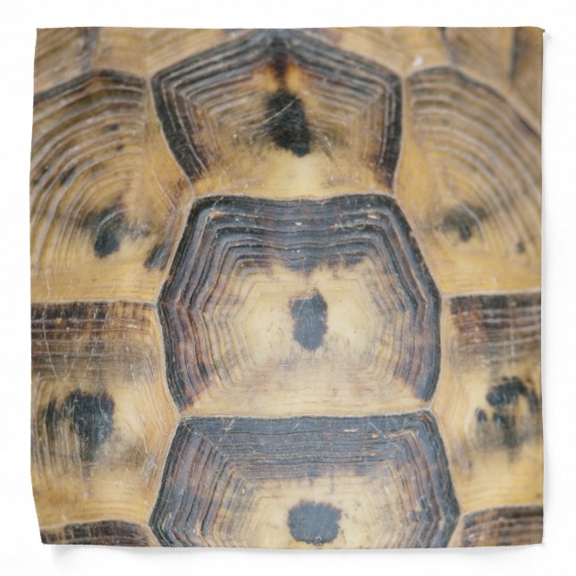Tortoise Shell Pattern Bandana (Front)