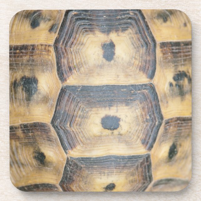 Tortoise Shell Pattern Beverage Coaster (Front)