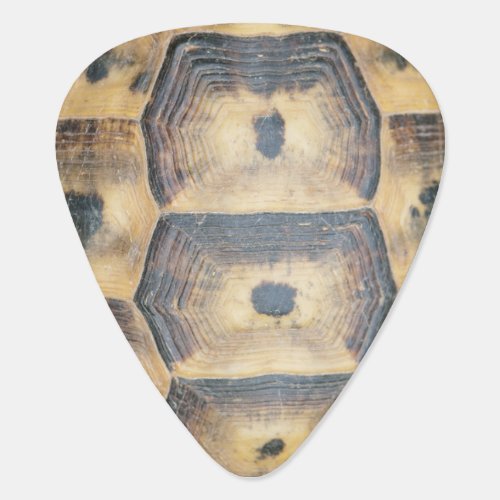 Tortoise Shell Pattern Guitar Pick