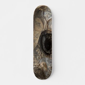 Tortoise Skateboard by CustomizeYourWorld at Zazzle