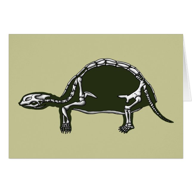 tortoise skeleton cards (Front Horizontal)