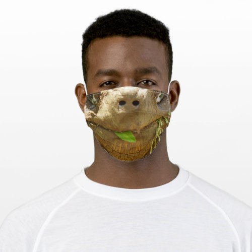 Tortoise Smile Adult Cloth Face Mask