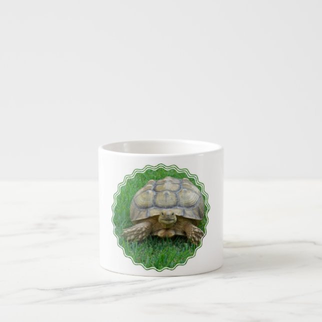 Tortoise Specialty Mug (Front)