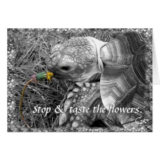 Tortoise - Stop & taste the flowers Cards (Front Horizontal)