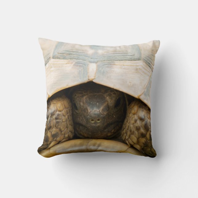 Tortoise Throw Pillow (Front)