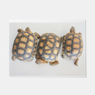 Tortoise Trio doormat