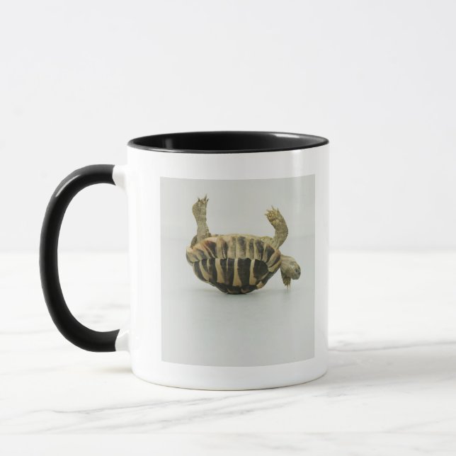 Tortoise upside down, balancing on shell mug (Left)