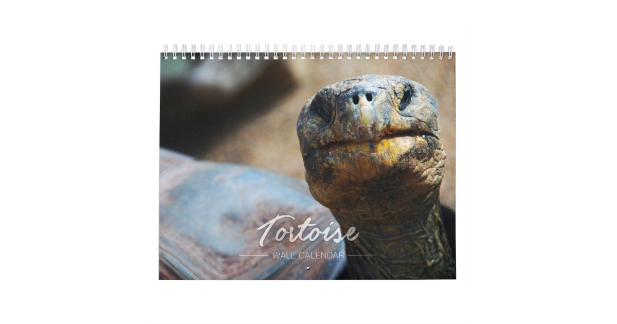 Tortoise Wall Calendar