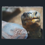 Tortoise Wall Calendar<br><div class="desc">Enjoy these beautiful photographs of a variety of tortoise species--from small box turtles to giant Galapagos tortoises--all year long with the Tortoise Wall Calendar,  taken by talented photographers across the globe.</div>