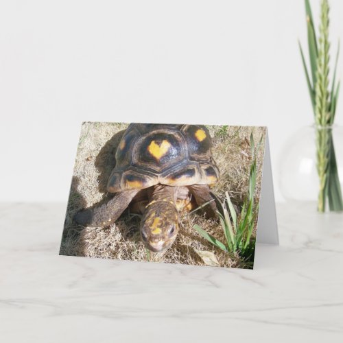 Tortoise with heart pattern Valentine Holiday Card