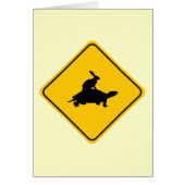 Tortoiseback Hare Crossing (Front)