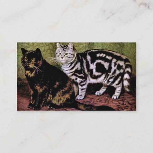 Tortoiseshell and Silver Tabby Cats Business Card (Front)