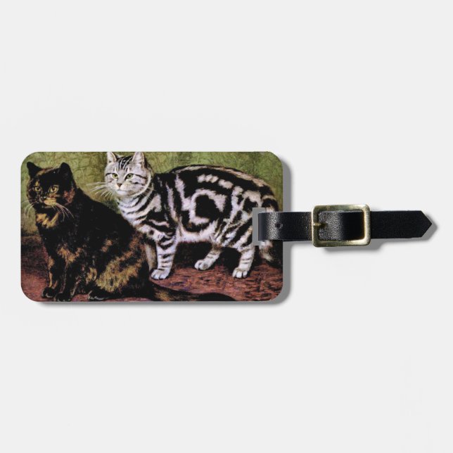 Tortoiseshell and Silver Tabby Cats Luggage Tag (Front Horizontal)