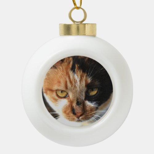 Tortoiseshell and White Calico Cat Ceramic Ball Christmas Ornament