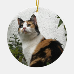 Tortoiseshell and White Cat Ceramic Ornament