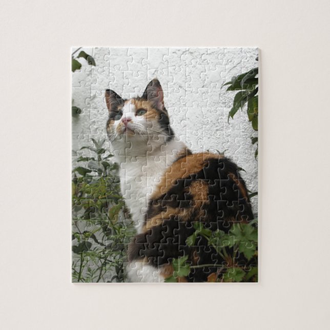 Tortoiseshell and White Cat Jigsaw Puzzle (Vertical)