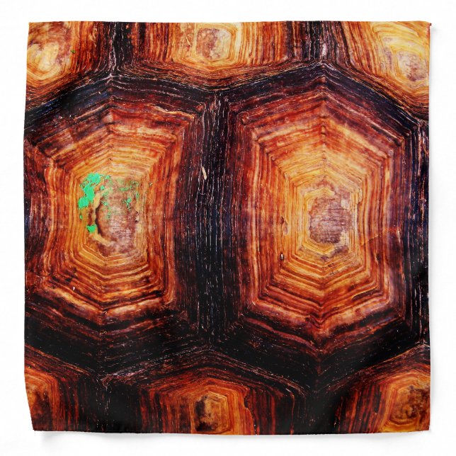 Tortoiseshell Bandana (Front)