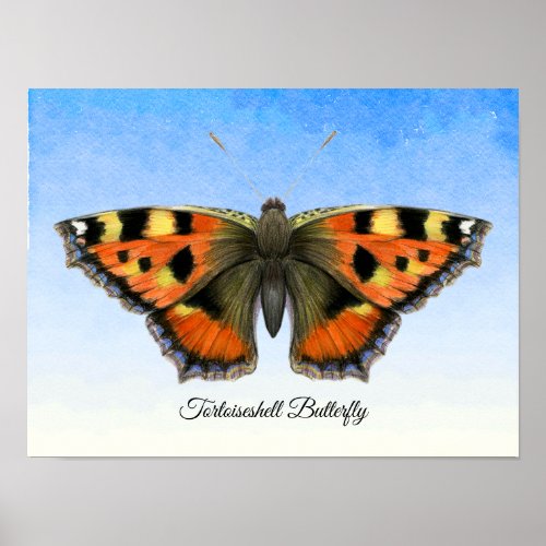 Tortoiseshell Butterfly Watercolor Painting Poster