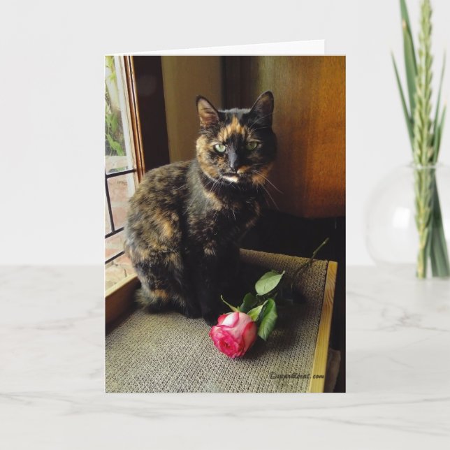 Tortoiseshell Cat and Rose Greeting Card (Front)