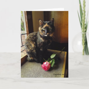 Tortoiseshell Cat and Rose Greeting Card