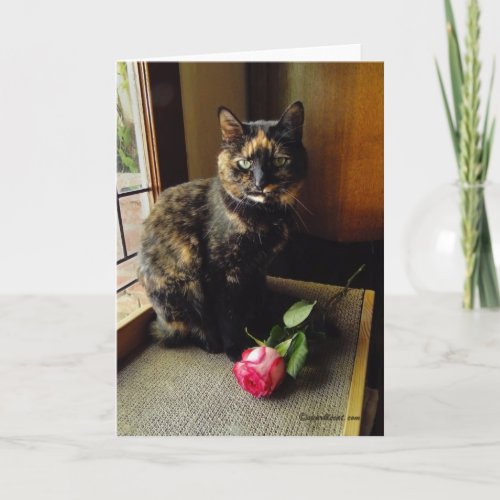 Tortoiseshell Cat and Rose Greeting Card