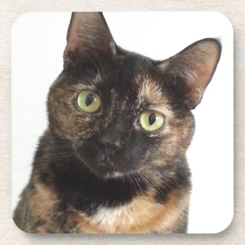 Tortoiseshell Cat Beverage Coaster