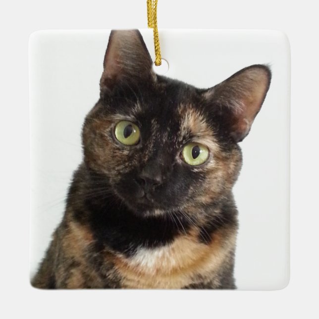 Tortoiseshell Cat Ceramic Ornament (Front)
