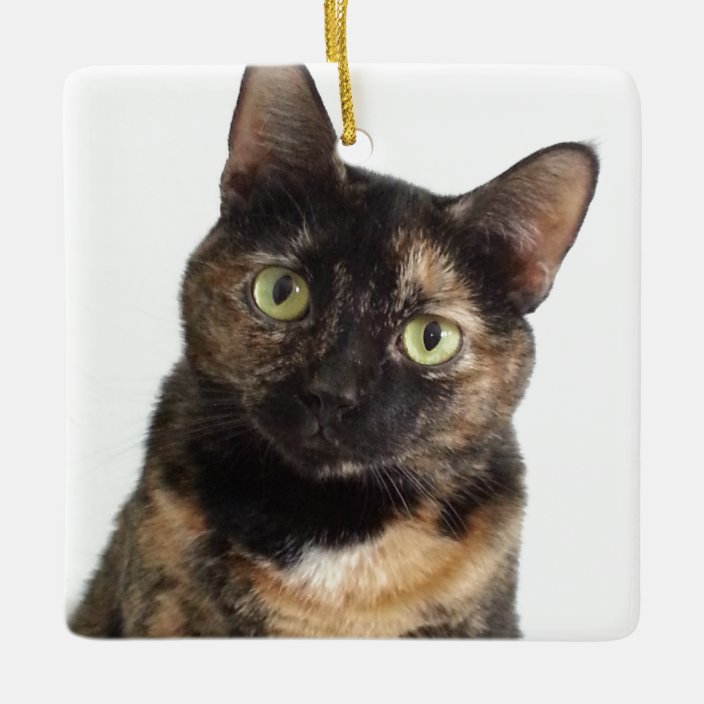 Tortoiseshell Cat Ceramic Ornament