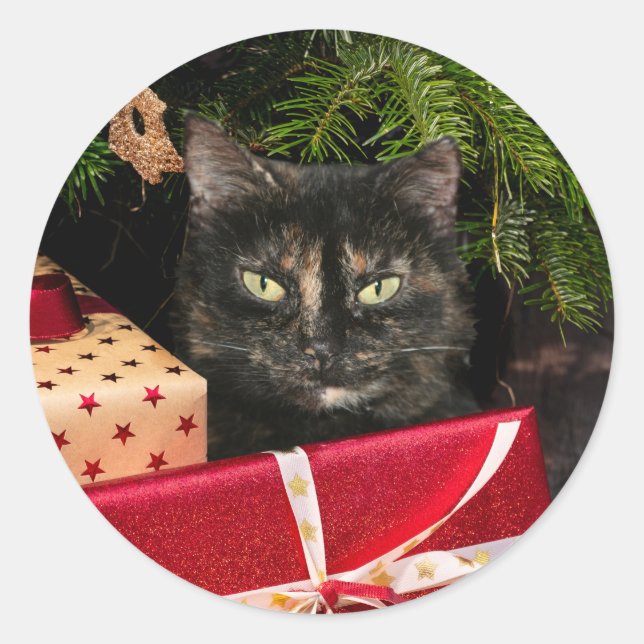Tortoiseshell cat Christmas Classic Round Sticker (Front)