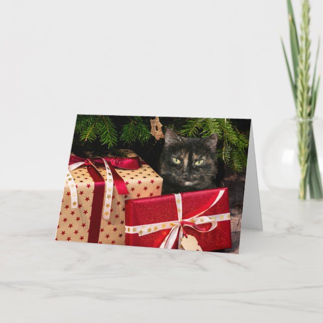 Tortoiseshell cat Christmas Holiday Card (Front)
