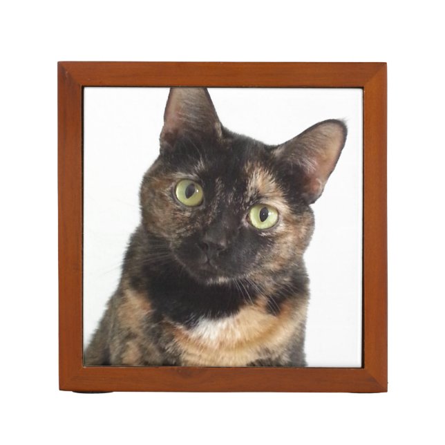 Tortoiseshell Cat Desk Organizer (Front)
