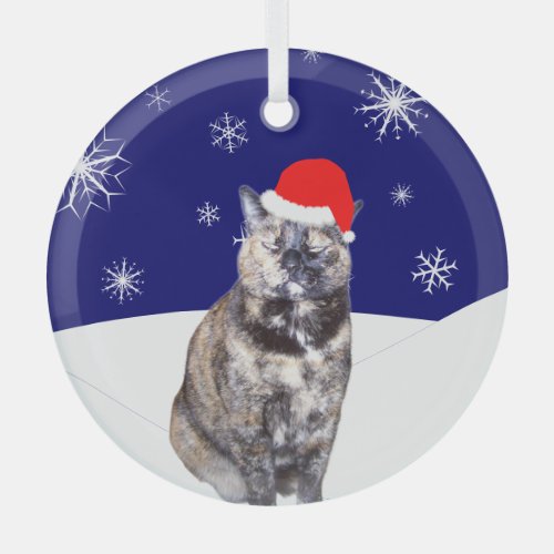 Tortoiseshell Cat in Santa Hat with Snowy Hills   Glass Ornament