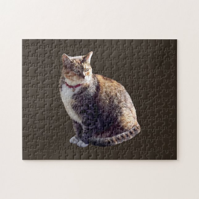 Tortoiseshell Cat Jigsaw Puzzle (Horizontal)
