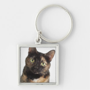 Tortoiseshell Cat Keychain