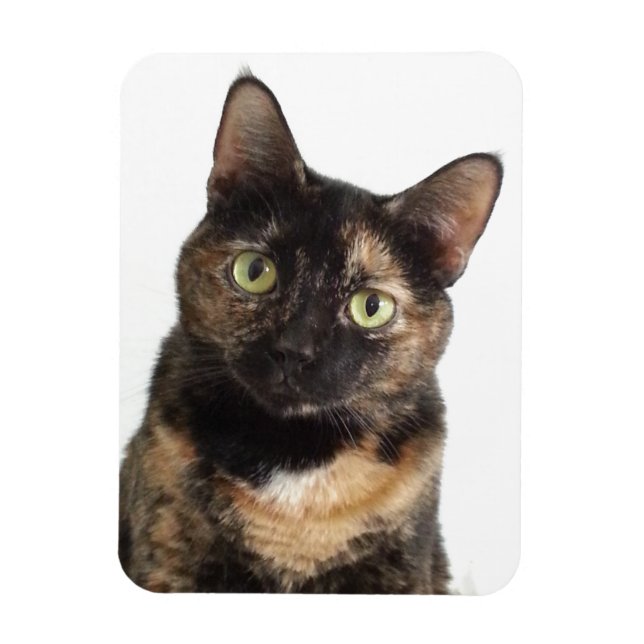 Tortoiseshell Cat Magnet (Vertical)