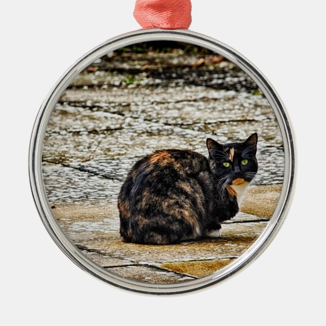 Tortoiseshell Cat Metal Ornament (Front)