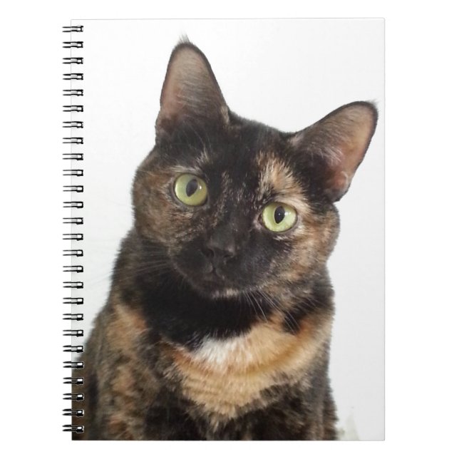 Tortoiseshell Cat Notebook (Front)