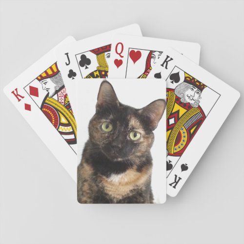Tortoiseshell Cat Poker Cards