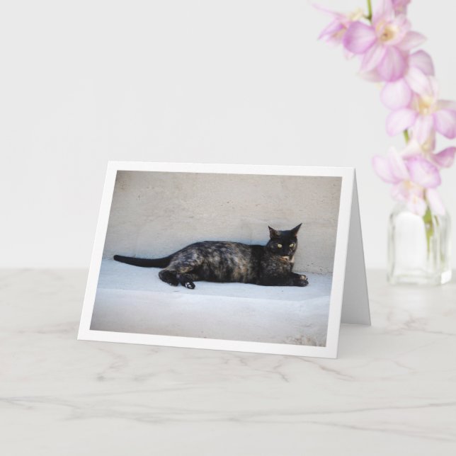 Tortoiseshell Cat Portrait Card (Orchid)