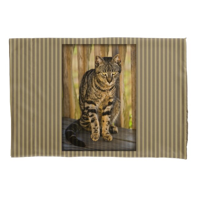 Tortoiseshell Cat Portrait, Closeup Animal Photo Pillow Case (Front)