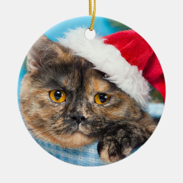 Tortoiseshell Cat Purr-fect Holiday Season Ceramic Ornament (Front)